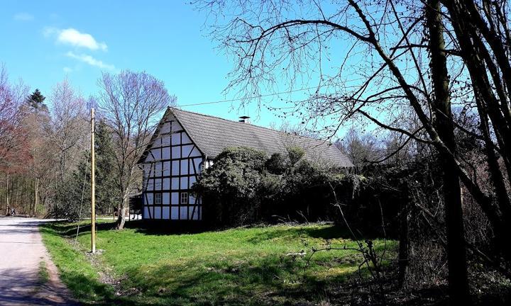 Waldcafé Steinhaus